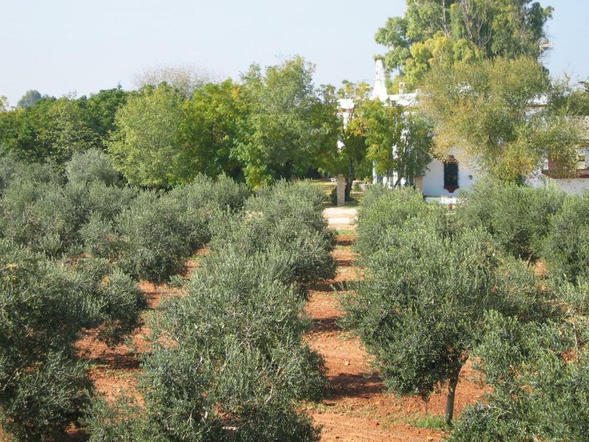 Hacienda Chambergo Casa En La Campina Sevillana エシハ エクステリア 写真