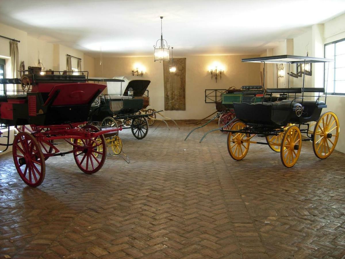 Hacienda Chambergo Casa En La Campina Sevillana エシハ エクステリア 写真
